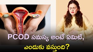 Remedies for PCOD: PCOD సమస్య అంటే ఏమిటి, ఎందుకు వస్తుంది, ఈ సమస్యకు చెక్‌ పెట్టే చిట్కాలు!