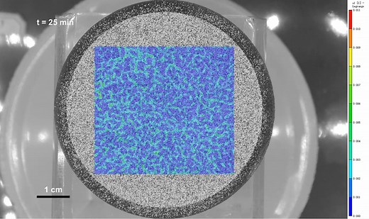 11K views · 71 reactions | Ever wondered why mudcracks form the way they do? A new study in Physical Review E shows that the size and distribution of pore gaps in the soil play a role, with uniform gaps delaying cracks and varied gaps sparking early fracture networks. The authors say the findings could help improve porous material design and even natural disaster prediction. Read more: https://go.aps.org/43pYhd8 | American Physical Society | Facebook