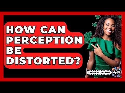How Can Perception Be Distorted? - The Animation Reel
