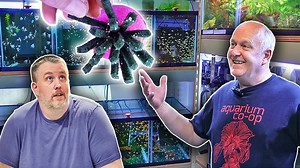 10K views · 460 reactions | It's been a while since Cory has visited...