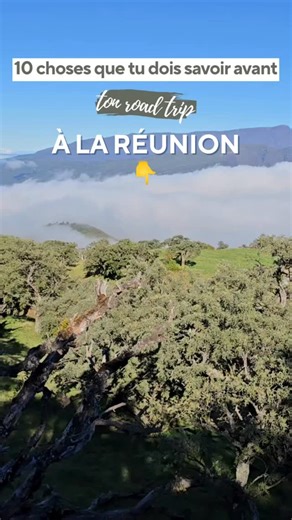 Marine - Travel Planner | Île de la Réunion & Road trip on Instagram: "Les 10 choses indispensables à savoir avant ton road trip à La Réunion 🚙 1️⃣ Porte de bonnes chaussures de rando pour explorer les cirques, le Piton des Neiges... pas de simple chaussure de marche ! Tes pieds te diront merci ! 2️⃣ Prend une gourde pour rester hydraté et surtout garder l’eau bien fraîche. 3️⃣ Une boîte hermétique pour garder vos snacks au frais et protéger des insectes. 4️⃣ Un appareil photo ou un smartphone 