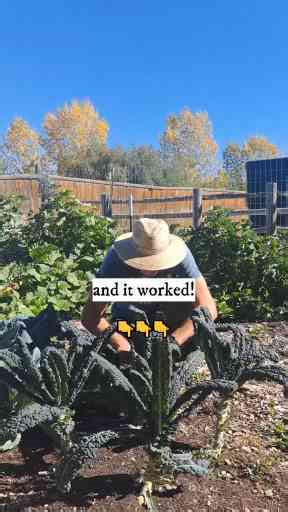 Get Your Ultimate Guide with Just One Click