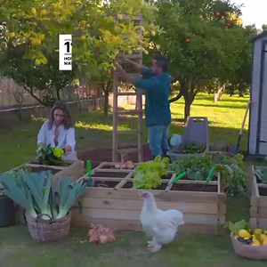 403 reactions · 26 shares | Para quem quer dedicar tempo a cuidar da sua horta, conheça todas as dicas para plantar na sua varanda ou jardim no novo Catálogo da LEROY MERLIN 凌 #LeroyMerlin #Cuidedoseujardim | Leroy Merlin | Facebook