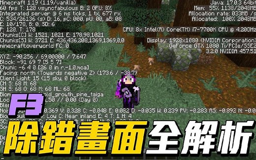 我的世界【F3】除错画面全解析!! 让你玩麦块不再雾煞煞!!