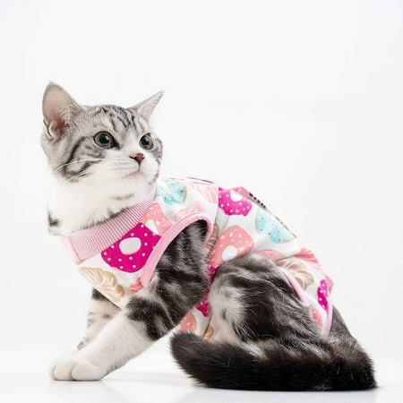 Cat Recovery Suit for Abdominal Wounds or Skin Diseases,After Surgery Wear Anti Licking Wounds,Breathable E-Collar Alternative for Cats and Dogs - Walmart.ca