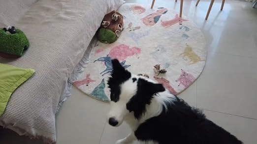 050edbc152fe432cbe3a3daefed57d8e