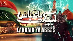 Labbaik Ya Abbas 💔 | Ali Jee Noha 2025 | Muharram 1447 | Emotional Noha for Alamdar a.s.