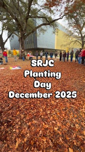 Santa Rosa Junior College on Instagram: "SRJC’s first public planting day marked the start of a new outdoor classroom focused on native plants and hands-on learning. Thank you to Campus Biodiversity Initiative, Biology Club, the Native American Center, and Avanzando Initiative, along with our campus partners. For more information, visit SRJCBiodiversity.org"