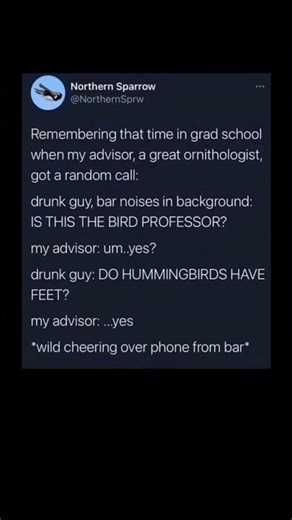 Drunk Guy Calls a ‘Bird Professor’ With One Urgent Question