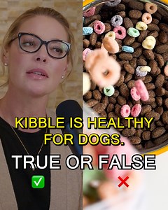 ⬇️ The Downfall of Dog KIBBLE ⬇️ Once a symbol of convenience, now a CONCERN for health. Join award-winning actress and dog advocate Katherine Heigl as she exposes how kibble, packed with fillers, took over American dog bowls and the urgent need to return to wholesome, natural diets. 🐶🍽️ 🎥👉 lnk.to/BadlandsSurvey | Katherine Heigl