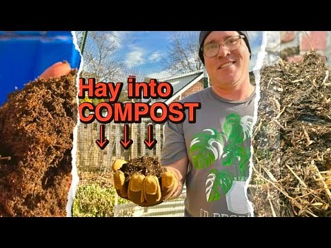 Create AMAZING Compost from old Hay- The Results speak for themselves