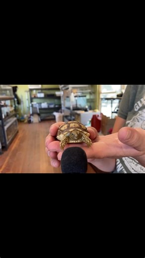 All these animals have something to say #animals #funny #wildlife