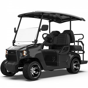 [Hot Item] latest Model Multi-Scene CE Certificate Electric Golf Cart