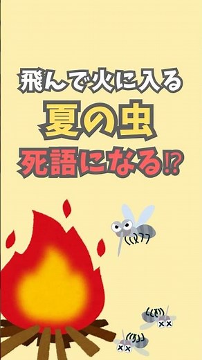 飛んで火に入る夏の虫なんていなくなっちゃう話【ゆくりかチャンネル】ずんだもんボイス生態解説