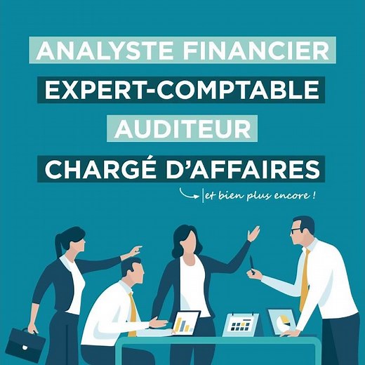 Audit Comptabilité Contrôle Finance - Montpellier Management