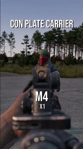 M16 vs. M4 en DayZ