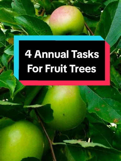 Essential Annual Fruit Tree Maintenance Tasks