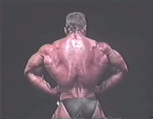 𝓝𝓲𝓬𝓴 on Instagram: "Paul DeMayo bodybuilder (1991 NPC Junior Nationals) Follow me @nicksbodybuilding for more 🔥 #pauldemayo #bodybuilding #gym #gains #fitness"