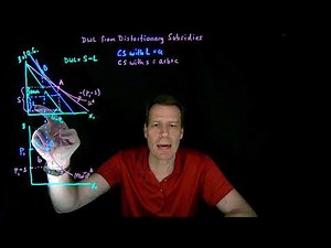 10.2.DWL from Distortionary Subsidies