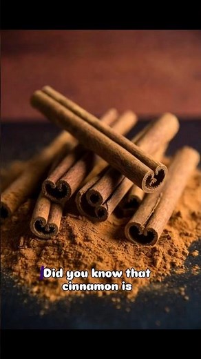 Cinnamon is tree bark! Benefits, harvest & compounds explained 🌿✨#cinnamon #plantfacts #ytshorts