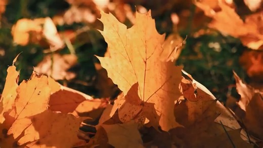 在这喧嚣的世界 我们都渴望片刻的宁静