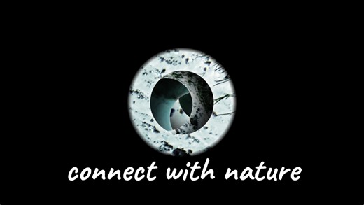 85 reactions · 8 comments |  Miami adventurers — need a break from...