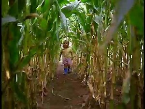 Baby Einstein - Baby MacDonald_ A Day on the Farm