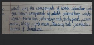 2. What are the components of Adobe conimation wines20. The ma... | Filo