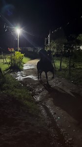 😅🙌🏻 | Edwin Mathias