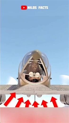World War 2 Plane Had a Secret 360° Gun #facts