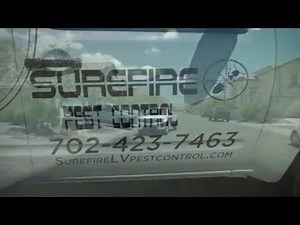 Surefire Pest Control in Las Vegas, Nevada