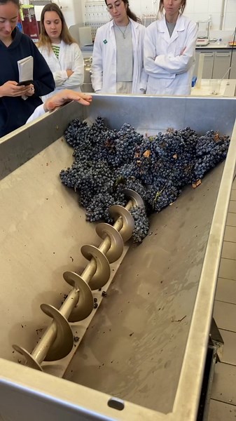 Pablo.Swirskii on TikTok