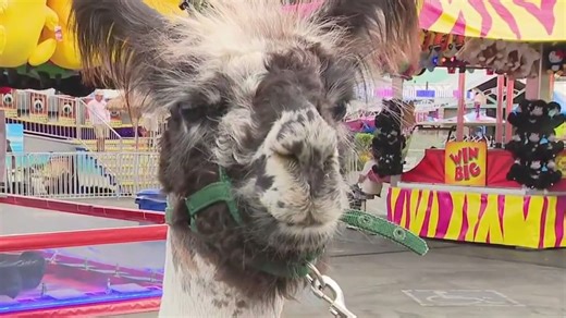 OC Fair returns to Costa Mesa