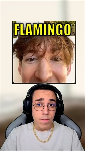 Albertsstuff Replaces Flamingo?