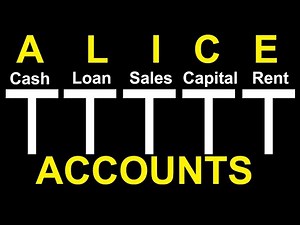 ALICE ACCOUNTS: Learn the Account Names of Assets Liabilities Income Capital Expenses with Test