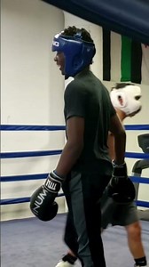 Jojo the Boxer before #boxing