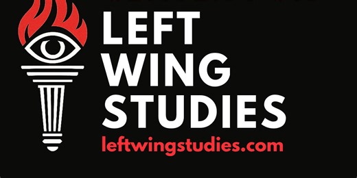 Introducing The Center For Left Wing Studies