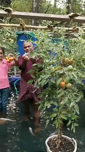 28K views · 53 reactions | Discover the amazing world of aquaponic...