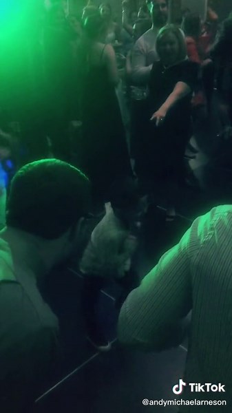 Dancing Kids at a Wedding: Adorable Moves