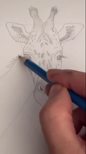 Mark Liam Smith on Instagram: "Draw a realistic giraffe 🦒 Easy drawing tutorial for new artists. #drawinglesson #howtodraw #drawgiraffe"