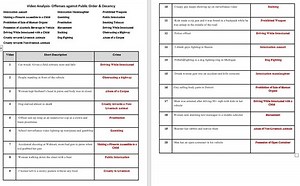 Video Analysis Activity of Penal Code- Public Order & Decency, Health