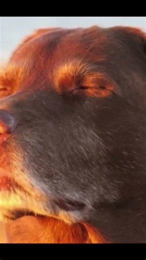 My computer broke 😭 (it exploded)……jk