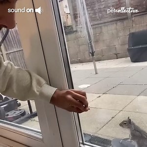 Isn't this the cutetest friendship? | Try Not to Laugh