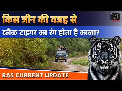 India’s Rare Black Tiger | Biosphere Reserve | RAS Current Update | Drishti RAS