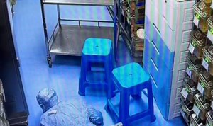 China: CCTV captures moment lab mouse escapes