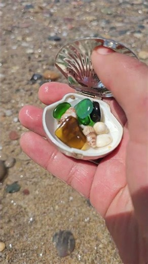 Seashell and Sea Crystal: Finding Hidden Treasures on the Shore and rare pearl