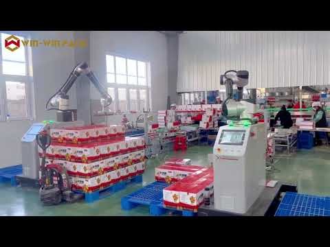 WIN-WIN PACK Smart Collaborative Robot Palletizer for Cartons | Two Robots #palletizing #palletizer
