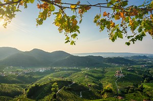Prosecco Hills, vineyards panoramic landscape in the morning and...