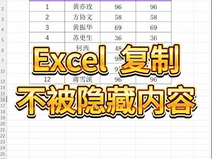 Excel复制不被隐藏的内容