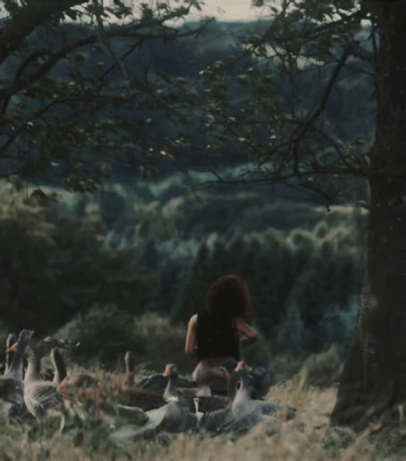 you will catch me sobbing at the peace intro everytime #thehungergames #haymitchabernathy #sunriseonthereaping #hungergamesedit #folklore peace taylor swift edit the hunger games aesthetic edit new sunrise on the reaping trailer haymitch edit sad trend
